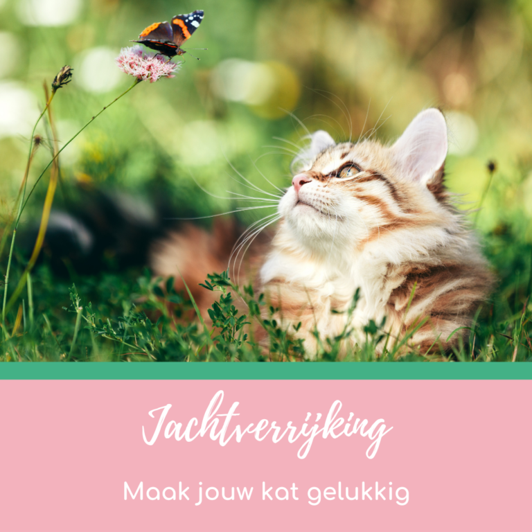 Blog jachtverrijking afbeelding